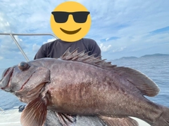 マハタの釣果