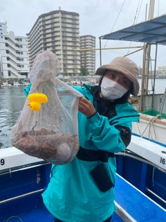 マダコの釣果