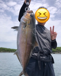 カンパチの釣果