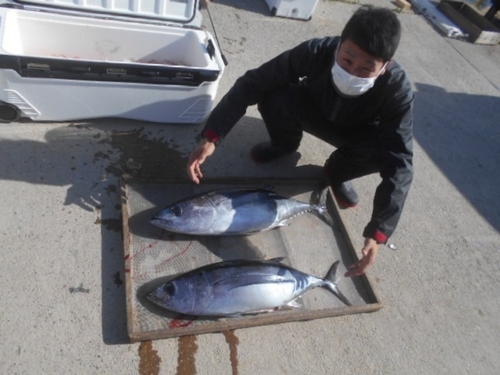 ビンチョウマグロの釣果