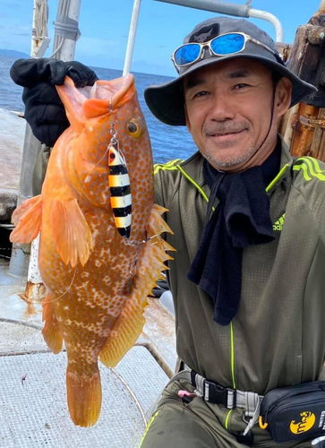 アコウの釣果