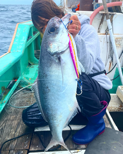 メダイの釣果