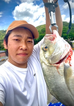 ロウニンアジの釣果