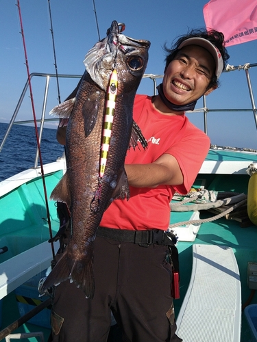 クロムツの釣果