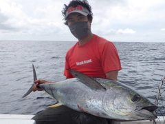 キハダマグロの釣果