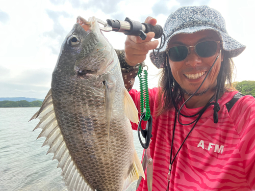 チヌの釣果