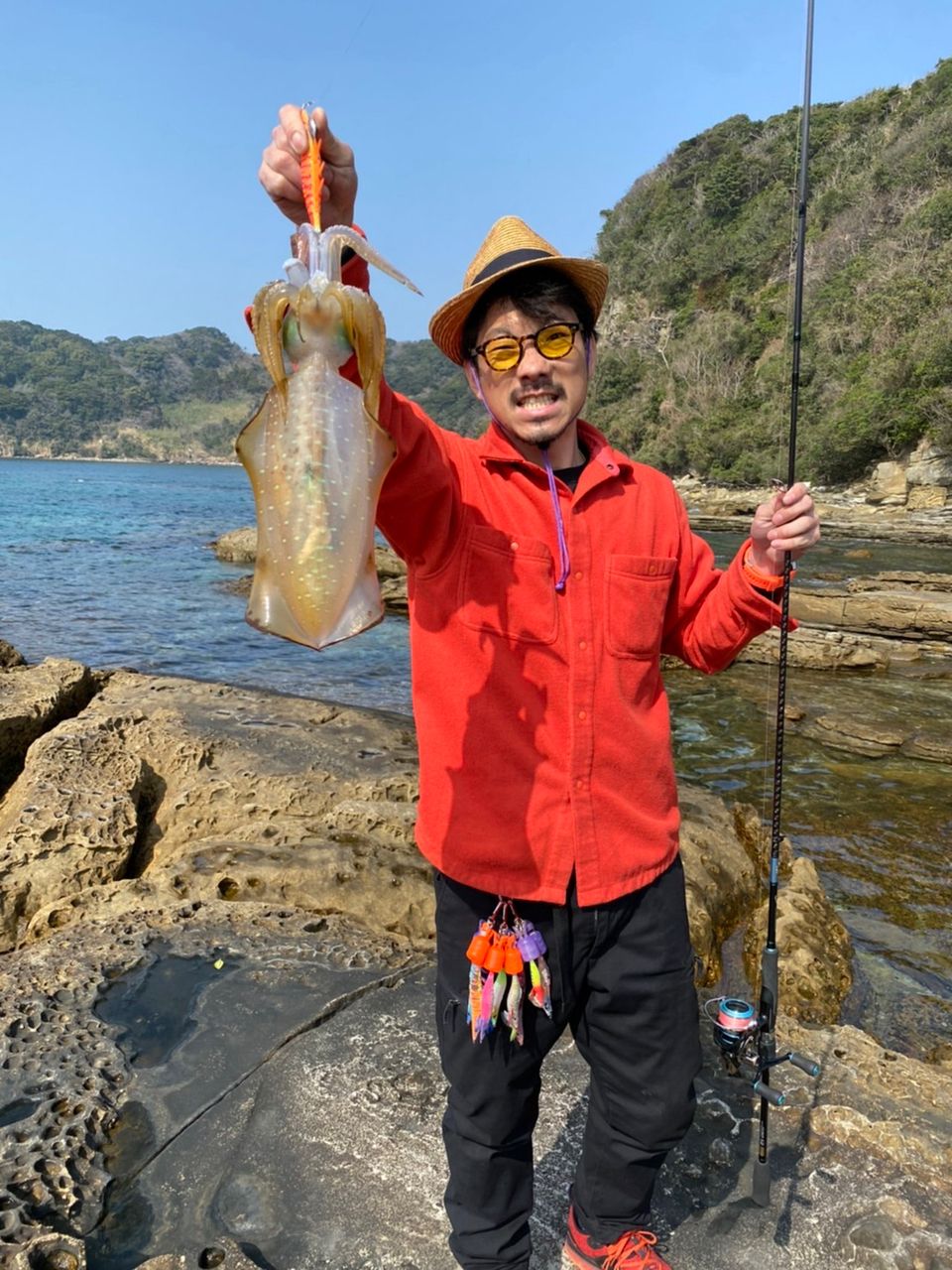 アオリイカ
