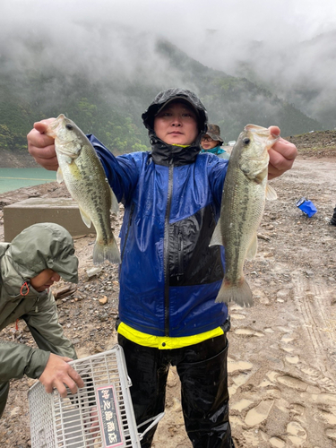 ブラックバスの釣果