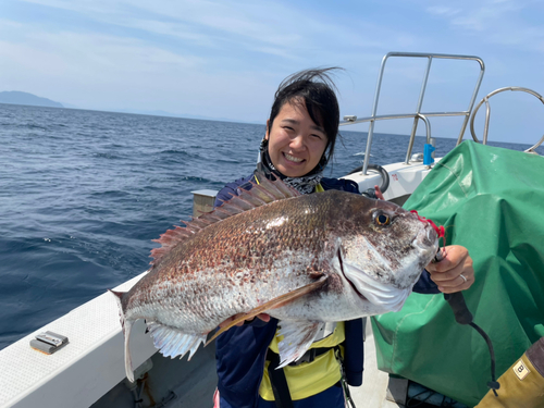 マダイの釣果