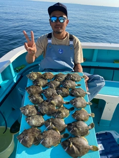 カワハギの釣果