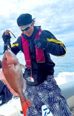 タイの釣果