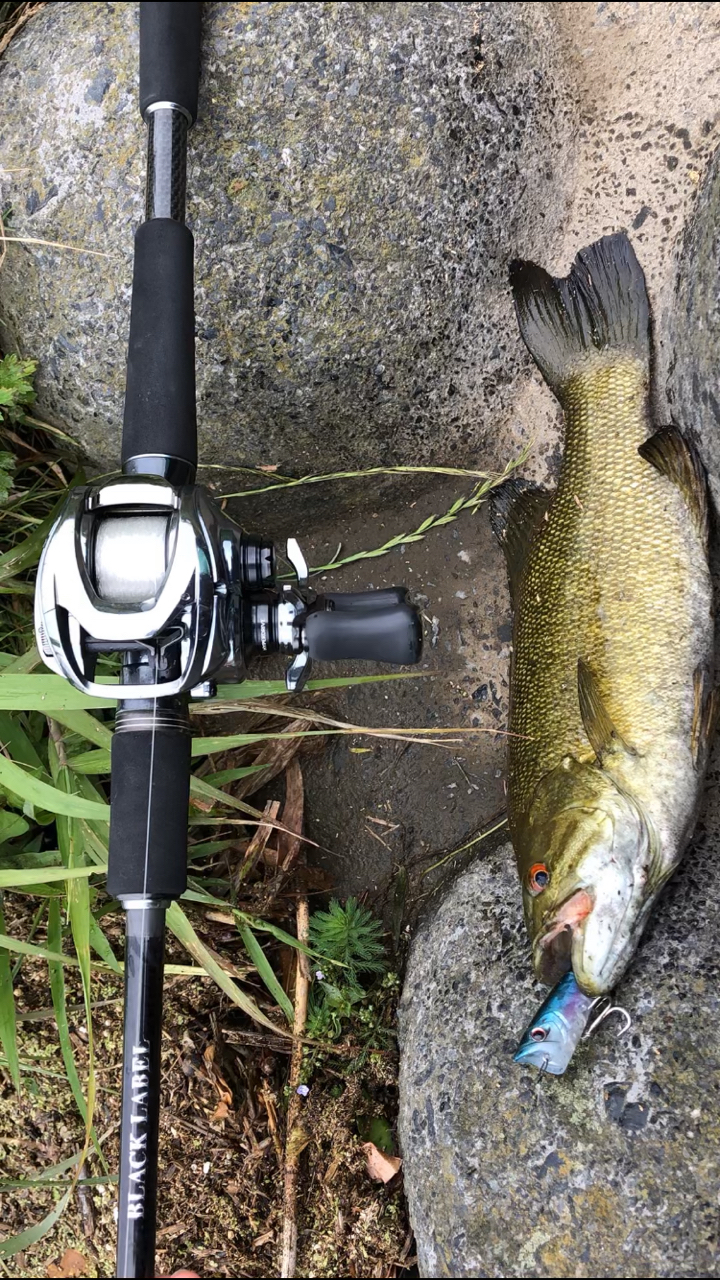 DAIWA ブラックレーベルトラベル C66M-5 - ロッド