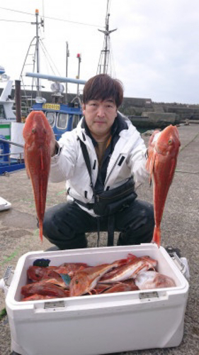 ホウボウの釣果