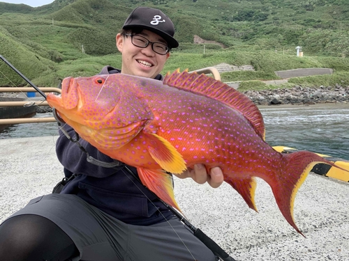 バラハタの釣果