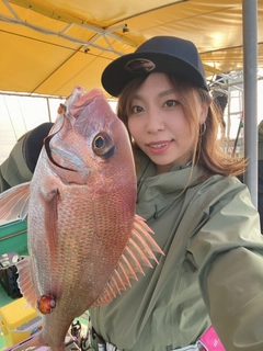 タイの釣果