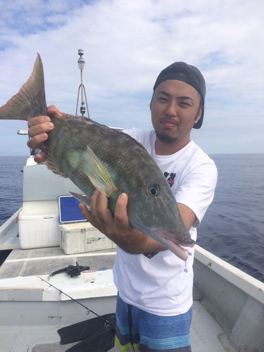 キツネフエフキの釣果