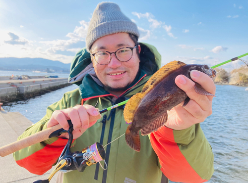 アイナメの釣果