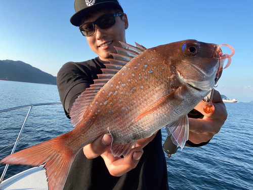 タイの釣果