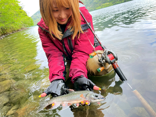 ミヤベイワナの釣果