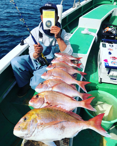 マダイの釣果