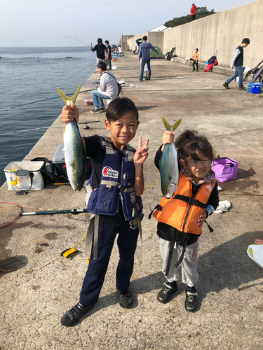 ツバスの釣果