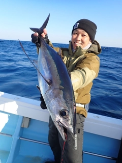 ビンチョウマグロの釣果