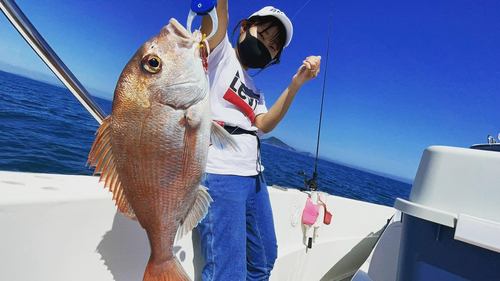 マダイの釣果