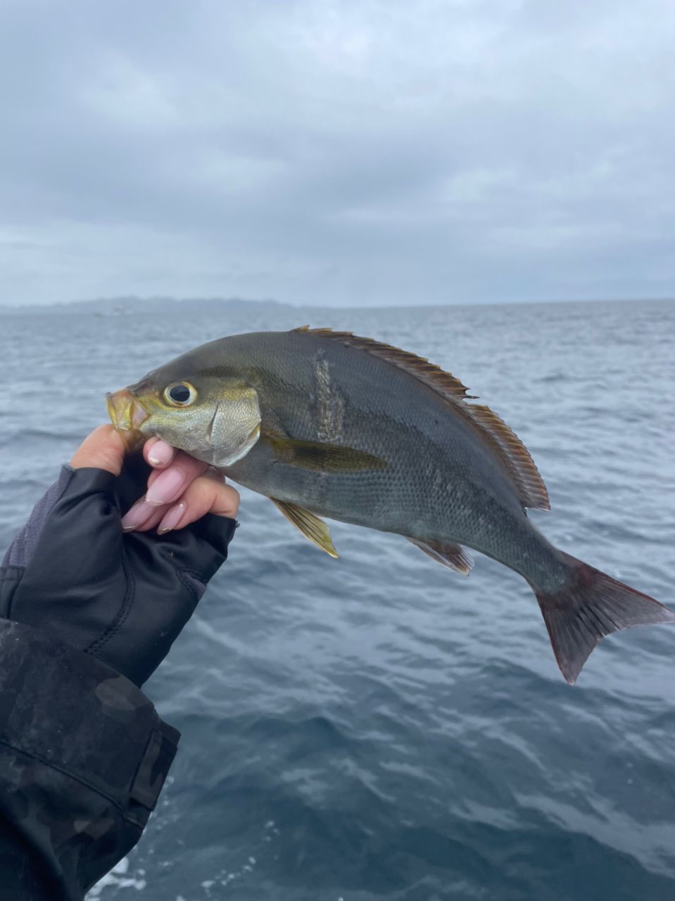 衣里さんの釣果 2枚目の画像