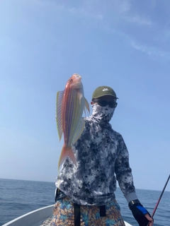 イトヨリダイの釣果