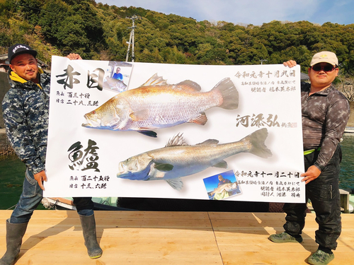 アカメの釣果