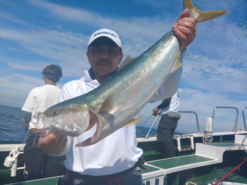 ブリの釣果