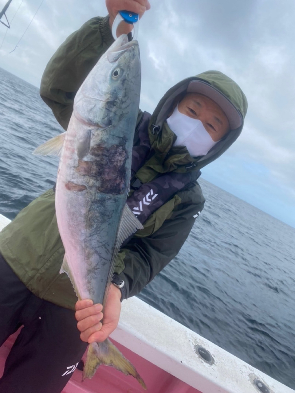 DAIWA 20ソルティガ エアポータブル J56S-6の最安値・インプレ