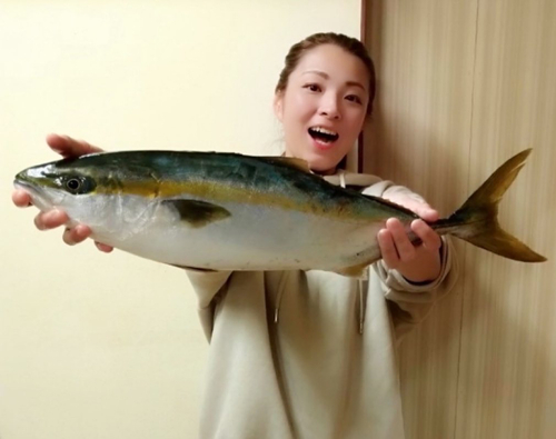 ハマチの釣果