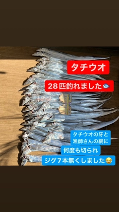 タチウオの釣果