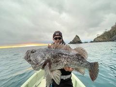 クロソイの釣果