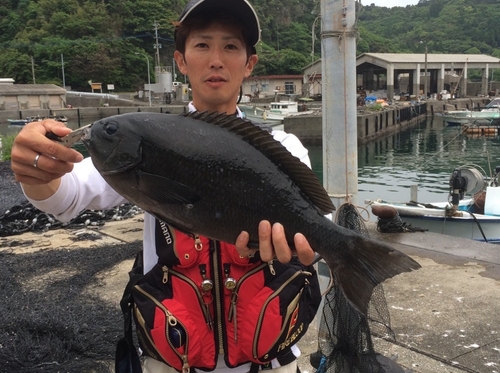 クロの釣果