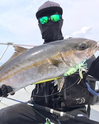 カンパチの釣果