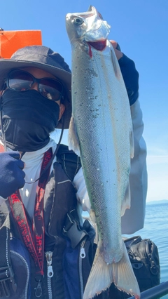 ビワマスの釣果