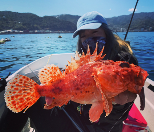 オニカサゴの釣果