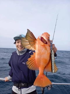 チカメキントキの釣果