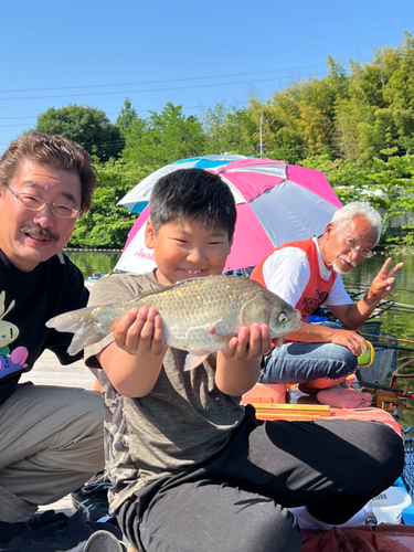 ヘラブナの釣果