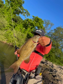 スモールマウスバスの釣果