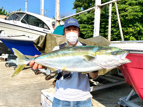 ワラサの釣果