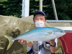 ワラサの釣果