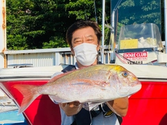 マダイの釣果