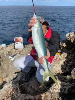 ツムブリの釣果