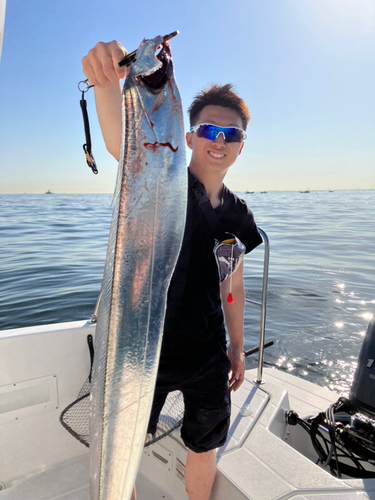 タチウオの釣果