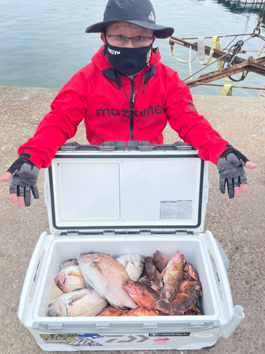 タイの釣果