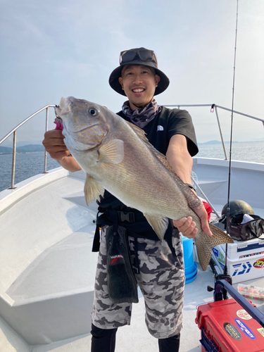 コロダイの釣果