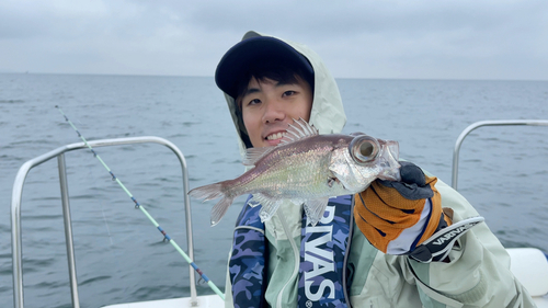 オオメハタの釣果